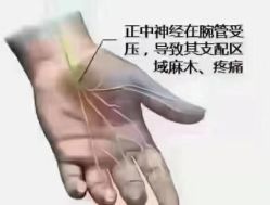 -香薇妮丝·定制减肥·身材管理
