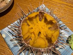 -桂马·日本料理·海胆·海鲜饭·酒场(民主广场店)