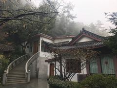 -十八棵（老龙井）御茶园(老龙井店)