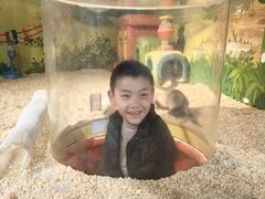 -萌宠奇缘(荣鼎店)