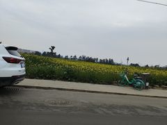 -三圣花乡旅游区