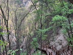 -大岭沟猕猴桃谷风景区