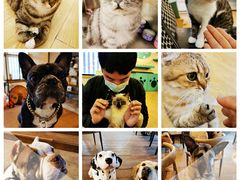 -萌喵咖啡屋(人民东路4号口M16商铺店)