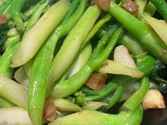 -福禄财东北菜(珠江帝景店)