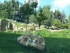 -北京野生动物园