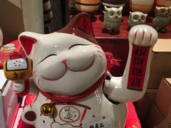 -猫咪博物馆(顶澳仔猫街店)