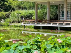 -国家植物园南园