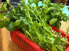 -濠轩阁特色生蚝火锅总店