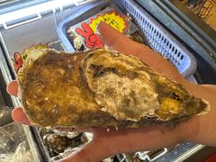 -蚝抵食·湛江生蚝(湾北路店)