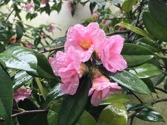 -周渝食惦酸菜鱼(青浦店)