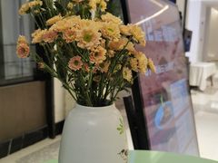 -南堂馆·新川菜(春熙路店)