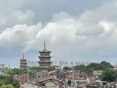 -忠记姜母鸭