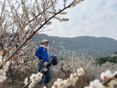 -广州市流溪河国家森林公园