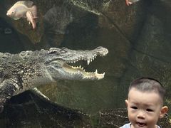 -波塞冬旅游度假区
