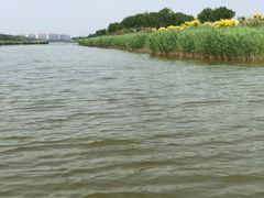 -南大港湿地风景区