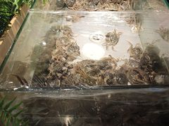 -欢乐牧场海鲜烤肉自助(牡丹园店)