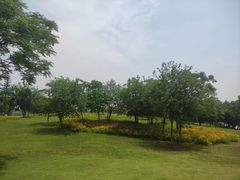 -盘龙城国家考古遗址公园