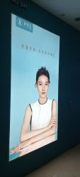 -伊丽汇