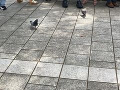 -西海国立公园九十九岛水族馆