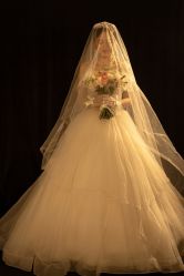 -金夫人婚纱摄影(总店)
