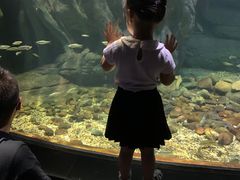 -江和美海洋公园