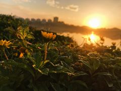 -水濂山水库景点停车场