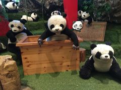 -济州岛泰迪熊博物馆