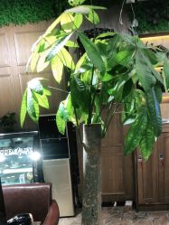 点击看大图 -震轩美容美发