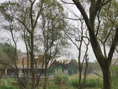 -西湖风景区-江洋畈生态公园