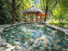 -花水湾第一村温泉大酒店