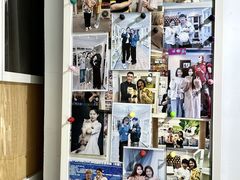 -青奢宠物·青奢猫舍