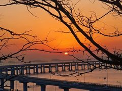 -星海湾跨海大桥