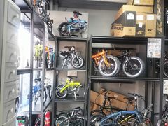 -道路口单车爱瓦士dahon大行