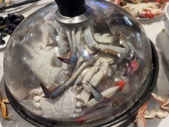 -半岛听涛蒸汽海鲜自助(K11店)