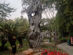 -东莞市可园博物馆