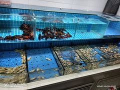 -老姑砂锅·烧烤天津菜(体北道店)