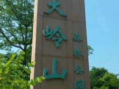-东莞市大岭山森林公园