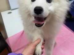 -北京观赏动物医院·24小时大型综合·猫专科·异宠专科
