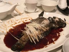 清蒸东星斑-东海海鲜酒家(中信广场店)