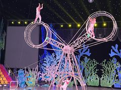 -青岛森林野生动物世界