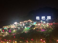 -枇杷园食为鲜火锅(南山店)