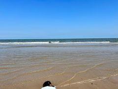 -北戴河圣蓝海洋公园