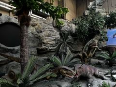 -国家自然博物馆