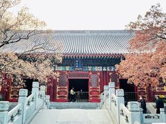 -香山公园