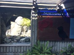 -西雅图水族馆
