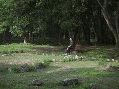 -杭州植物园