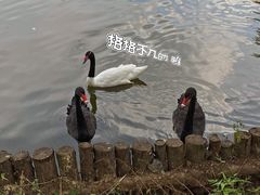 -沈阳森林动物园