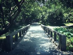 景点-逍遥津公园