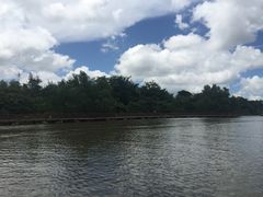 -东寨港红树林旅游区