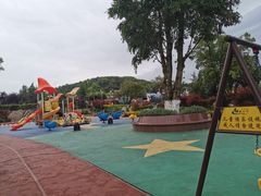 -铁山坪森林公园